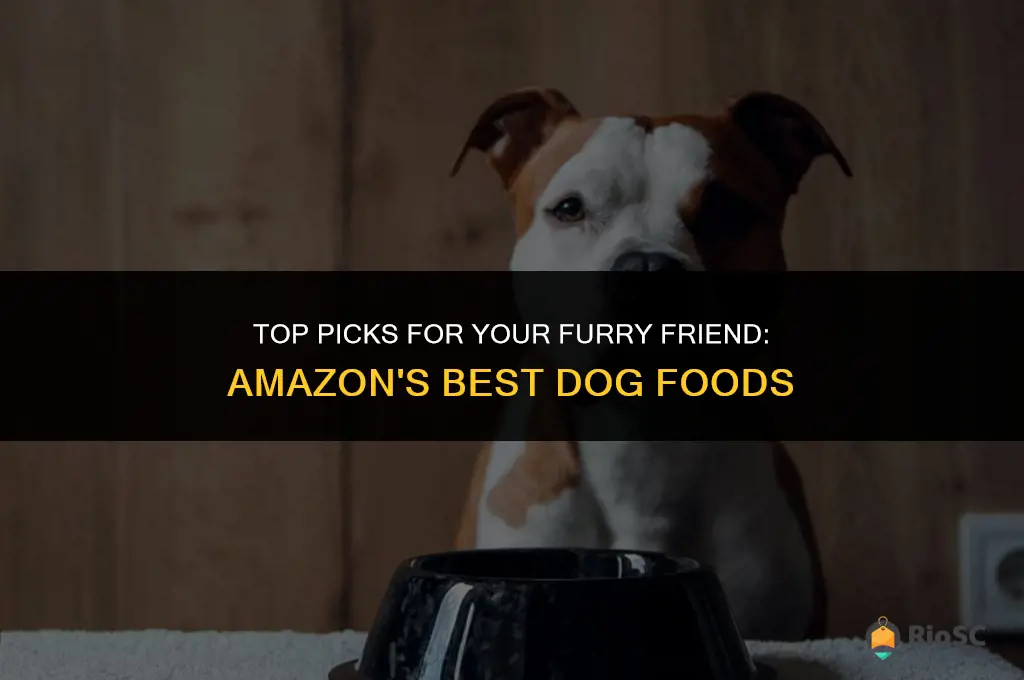 amazon best dog foods