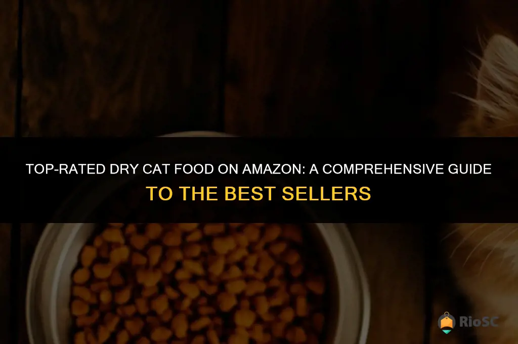amazon best seller dry cat food