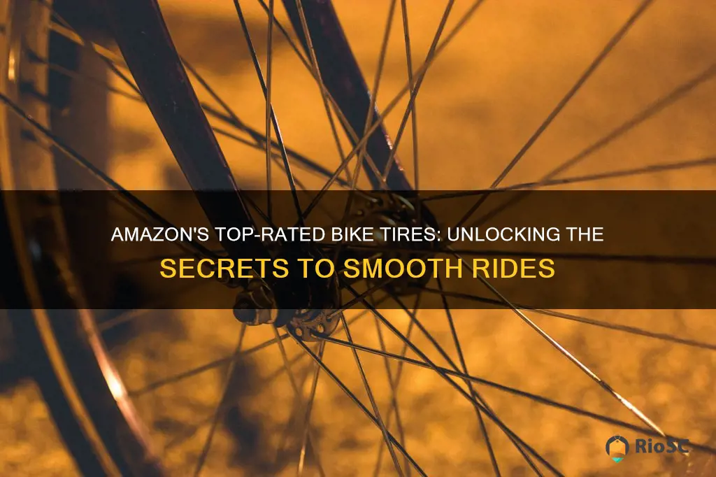 amazon best selling bike tires