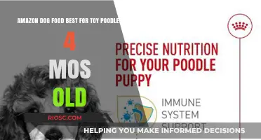 Top Picks for Toy Poodles: The Best Amazon Dog Food for Your 4-Month-Old Furry Friend