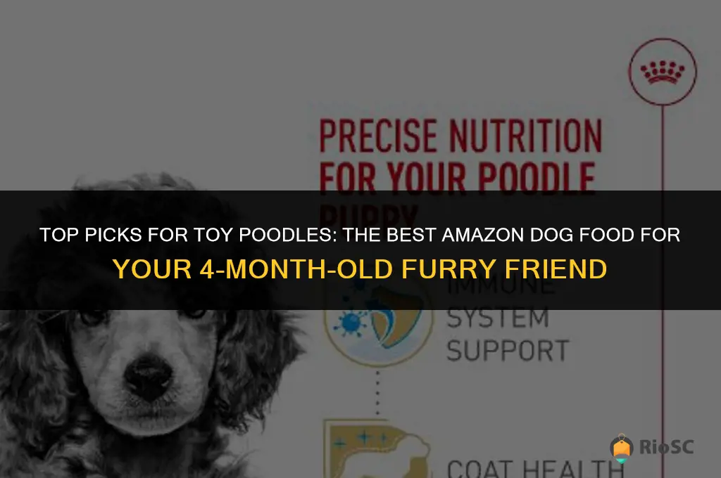amazon dog food best for toy poodles 4 mos old
