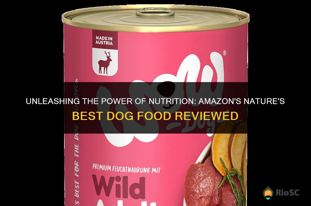 amazon nature