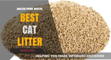 Amazon Prime's Top Pick: The World's Best Cat Litter for Happy Cats and Clean Homes