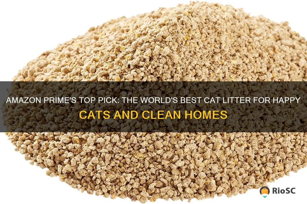 amazon prime worlds best cat litter