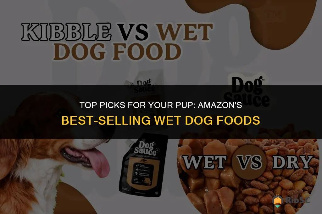 amazon wet dog food best sellers