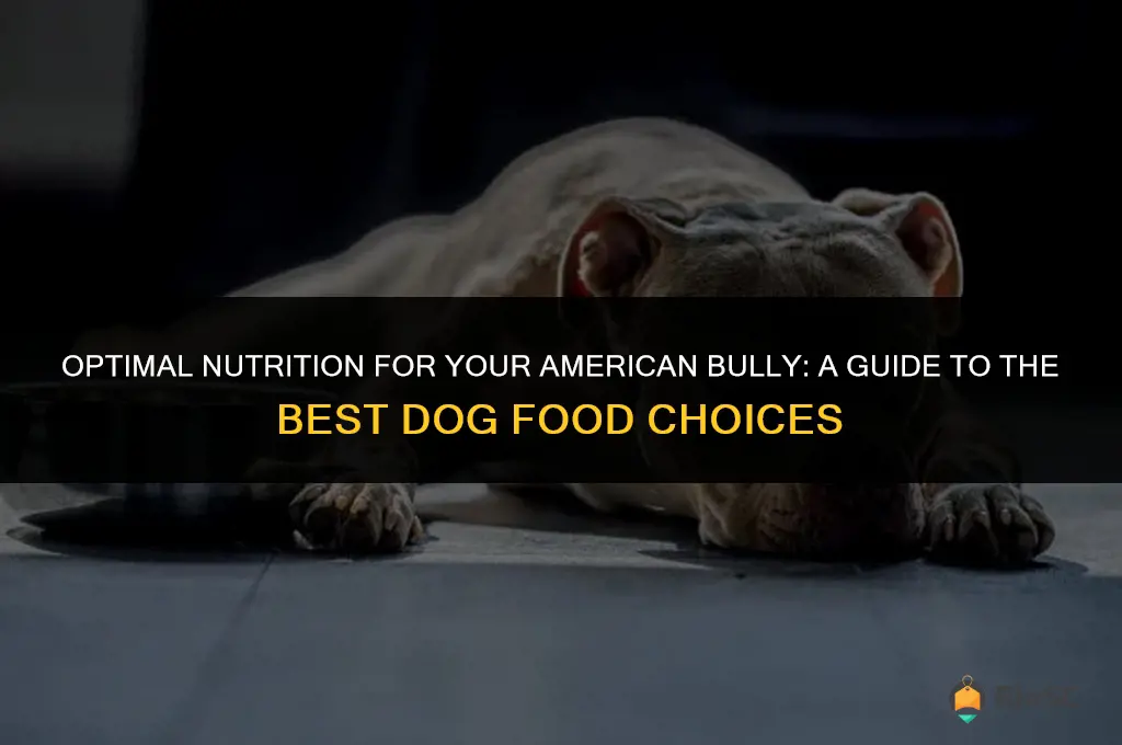 american bully best dog food