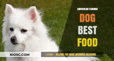 Nutritional Essentials for American Eskimo Dogs: A Guide to Optimal Health and Wellness