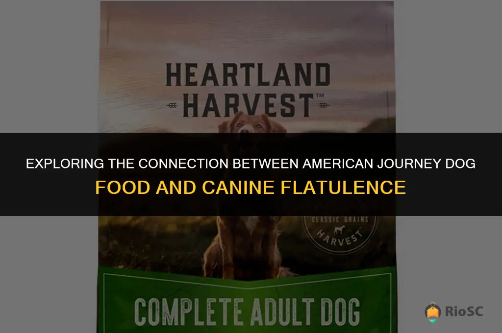 american journey best value dog food and farting
