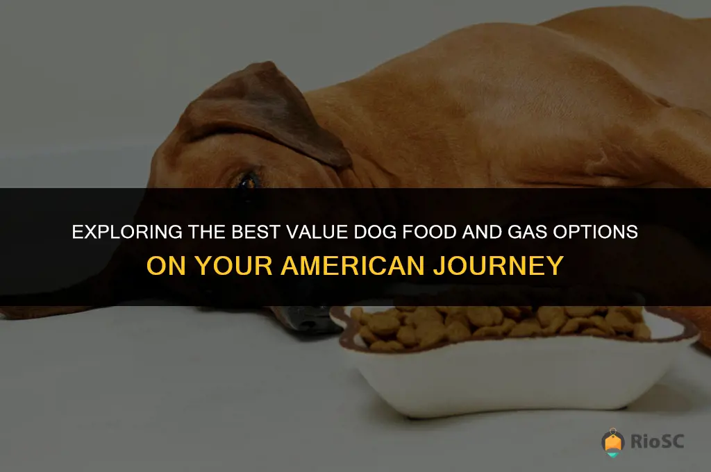 american journey best value dog food and gas