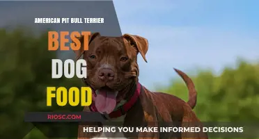 Nutrition Guide for American Pit Bull Terriers: Finding the Best Dog Food for Your Loyal Companion