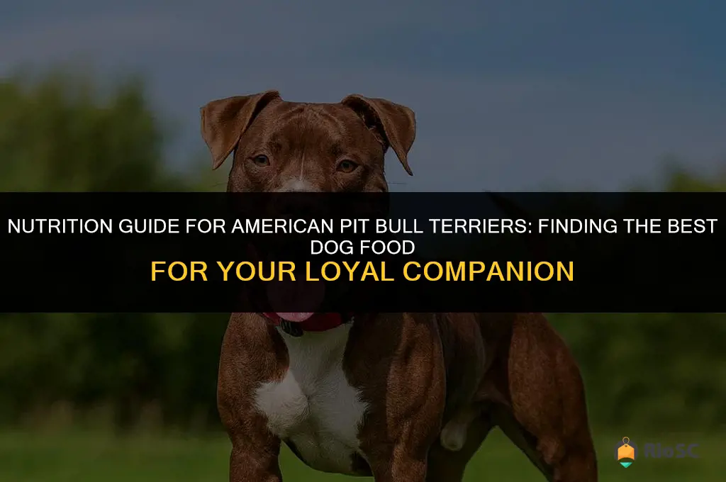 american pit bull terrier best dog food
