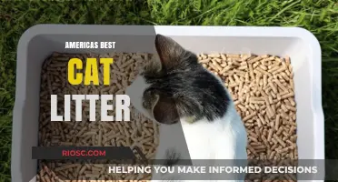 Revolutionizing Pet Care: Why America's Best Cat Litter is a Game-Changer for Feline Owners