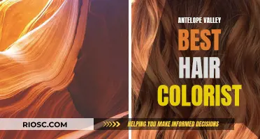 Antelope Valley's Top Hair Colorist: Master of the Mane