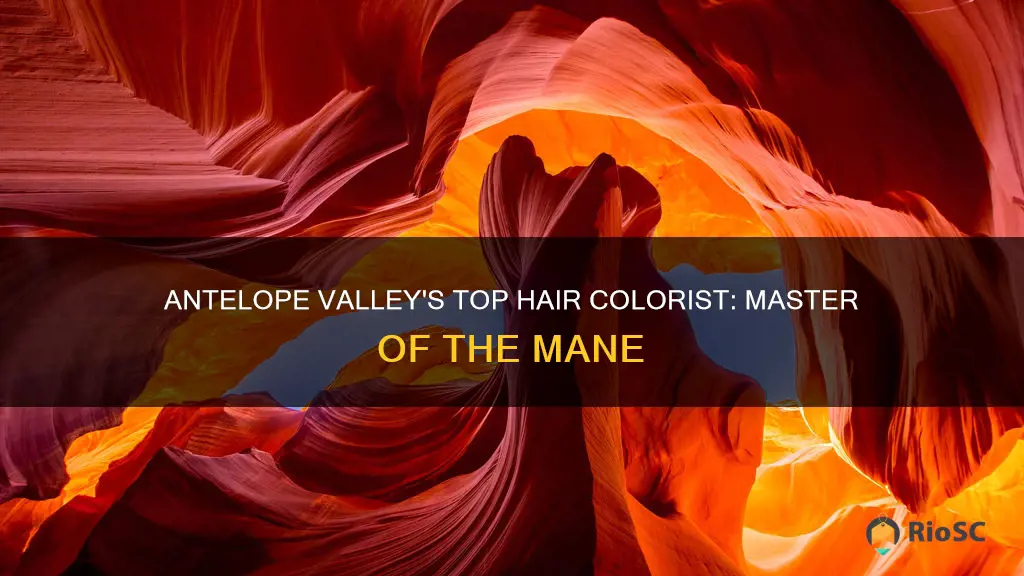 antelope valley best hair colorist