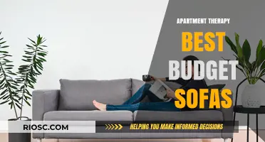 Cozy Comfort on a Dime: Apartment Therapy’s Top Picks for Budget-Friendly Sofas