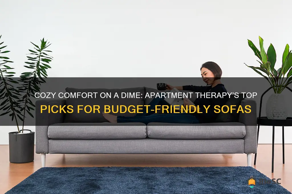apartment therapy best budget sofas