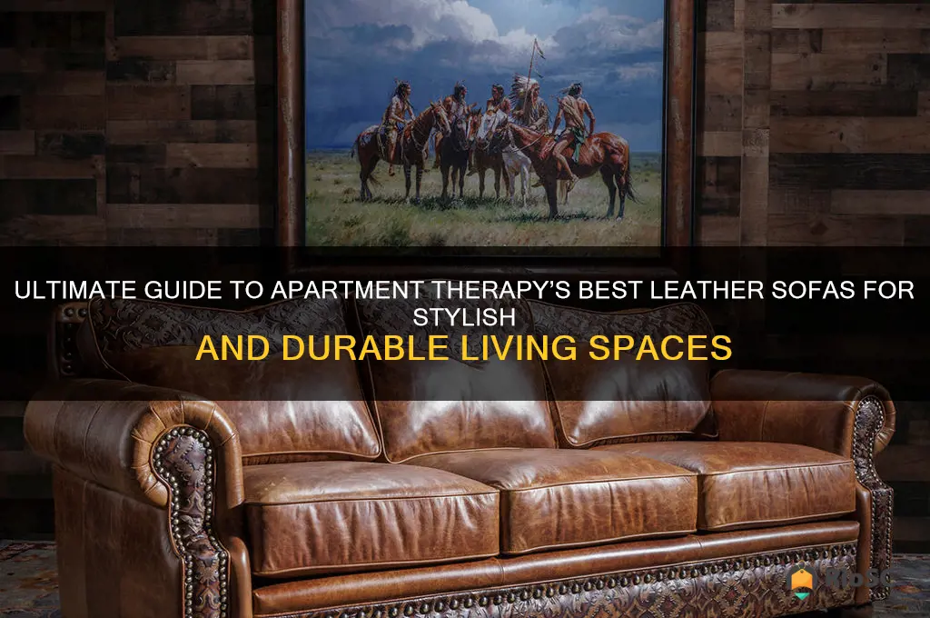 apartment therapy best leather sofa