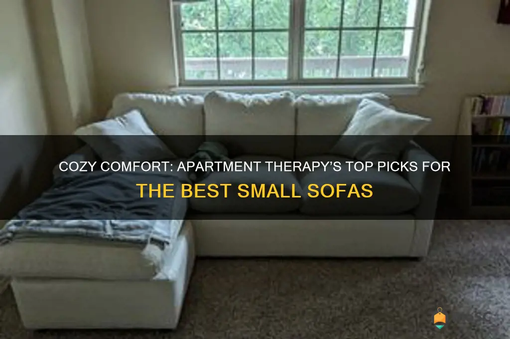 apartment therapy best small sofas