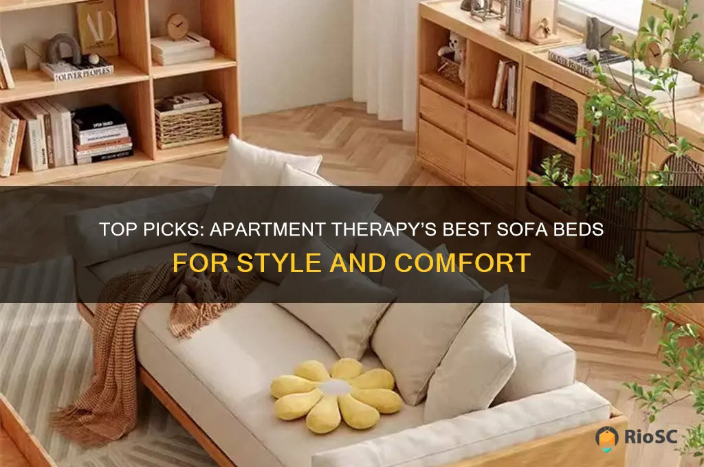 apartment therapy best sofa beds