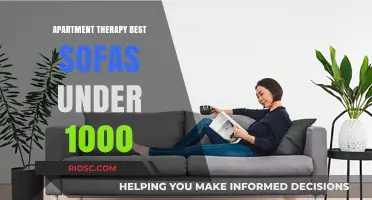 Cozy Comfort on a Budget: Top Sofas Under $1,000 for Your Apartment Therapy