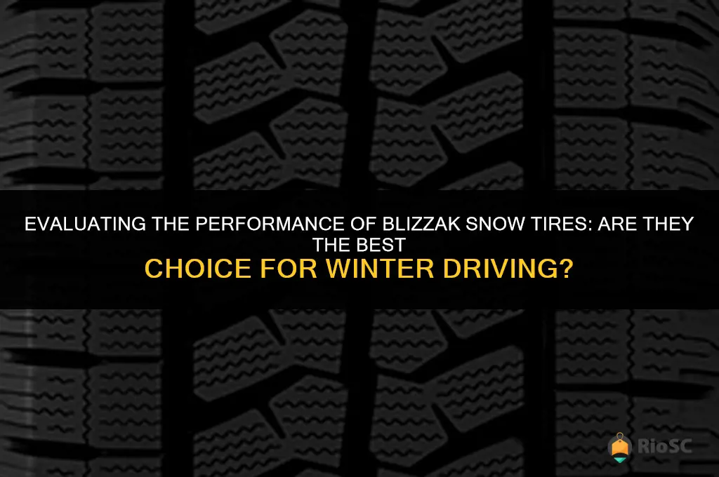 are blizzak snow tires the best