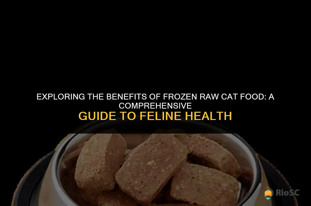are frozen raw cat food products best for cats health