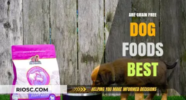 Exploring the Benefits and Drawbacks of Grain-Free Dog Foods: A Comprehensive Guide for Pet Owners