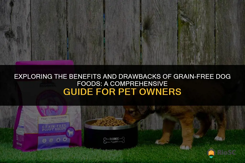are grain free dog foods best