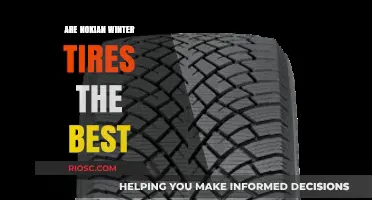 Evaluating Nokian Winter Tires: Are They the Best Choice for Your Vehicle?