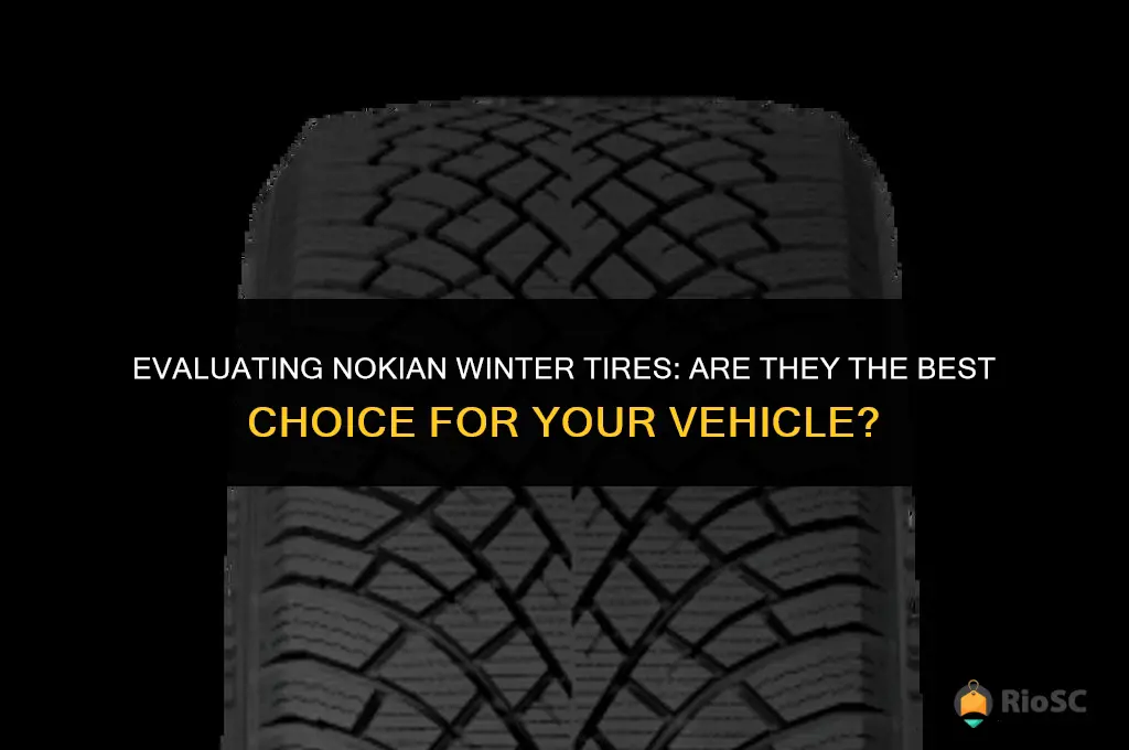 are nokian winter tires the best