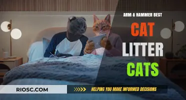Arm & Hammer Best Cat Litter: Top Picks for Odor Control and Happy Cats