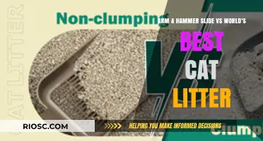 Arm & Hammer Slide vs. World's Best Cat Litter: Which Clumping Cat Litter Reigns Supreme?