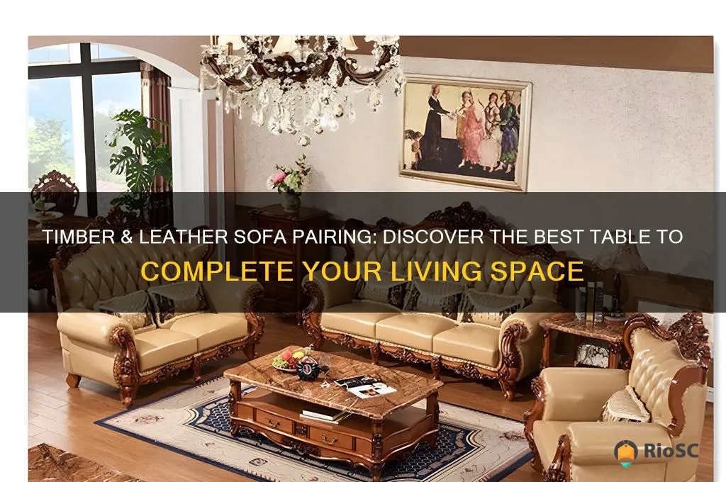 article timber leather sofa best table