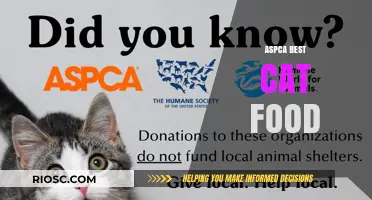 Top Picks for Feline Nutrition: ASPCA's Best Cat Food Recommendations