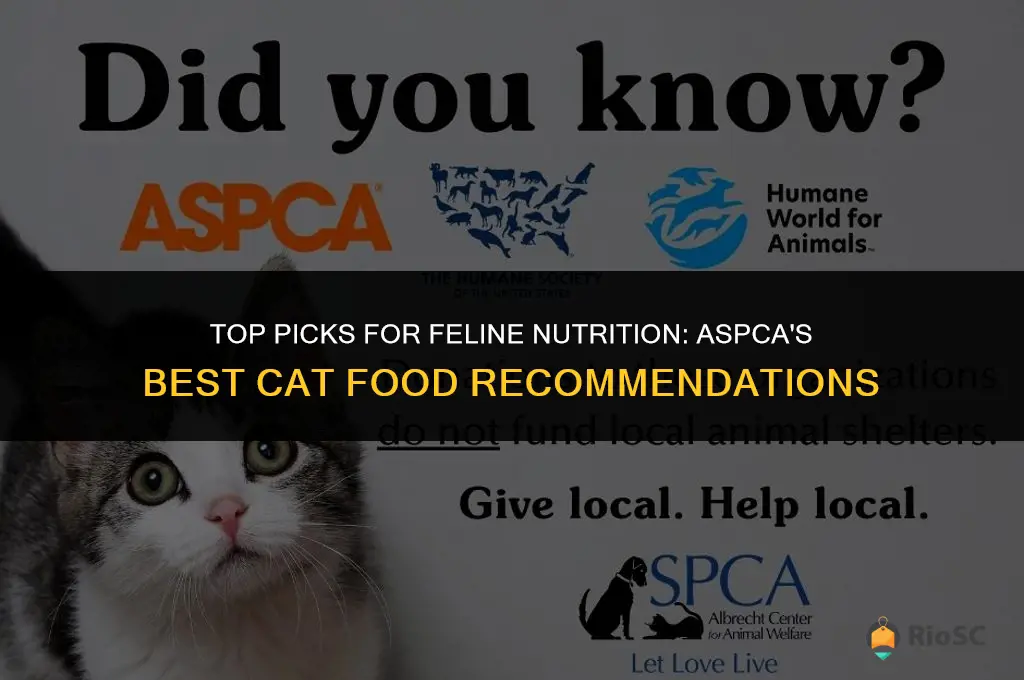 aspca best cat food