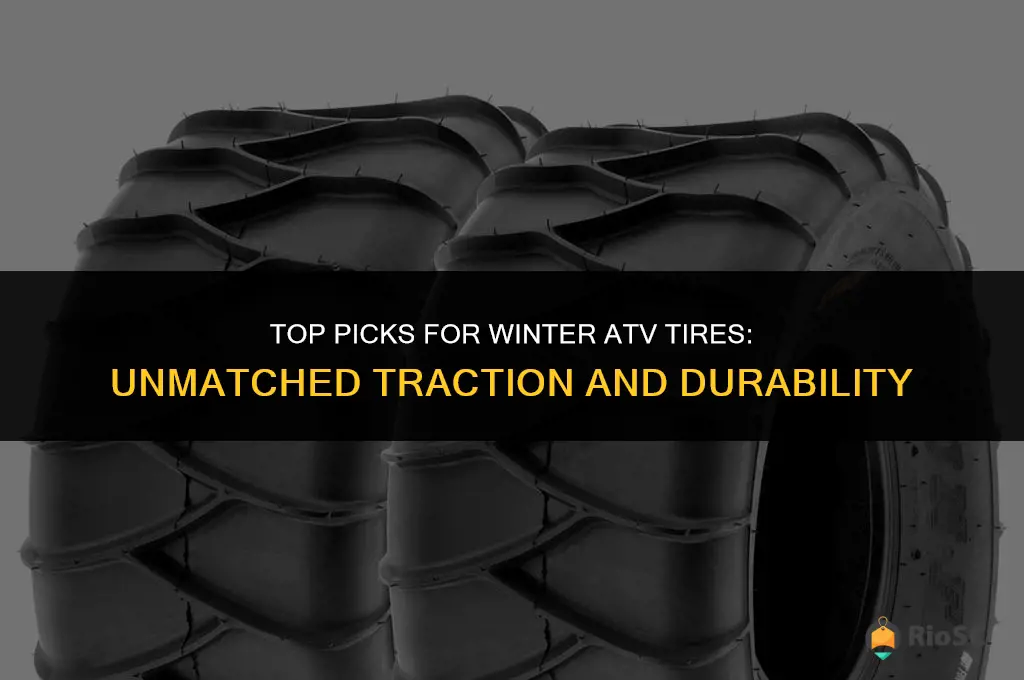 atv tires snow best