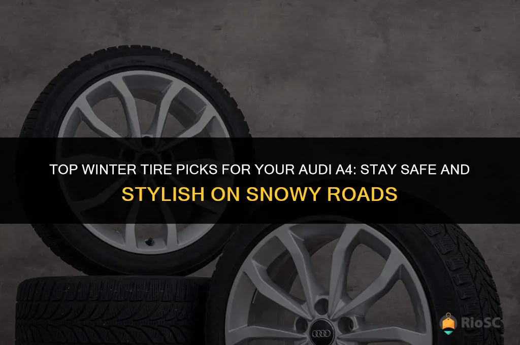 audi a4 best winter tires