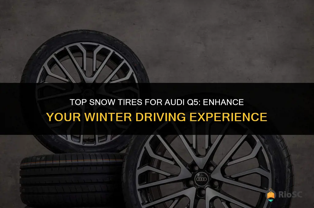 audi q5 best snow tires