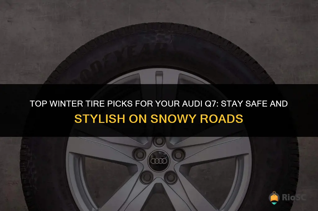 audi q7 best winter tires