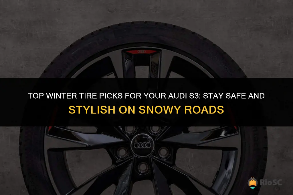 audi s3 best winter tires