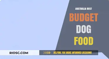 Top Affordable Dog Food Options in Australia: A Comprehensive Guide for Budget-Conscious Pet Owners