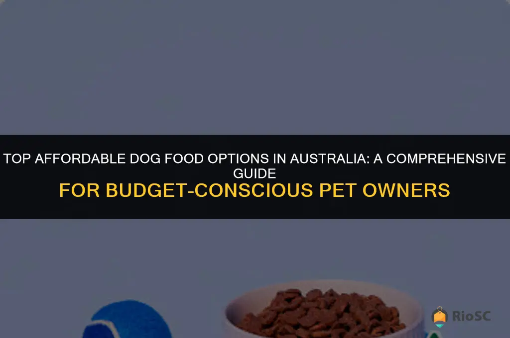 australia best budget dog food
