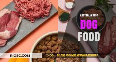 Top-Rated Dog Foods in Australia: A Comprehensive Guide for Pet Owners