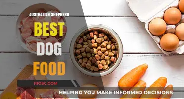 Top Nutrition Picks: The Best Dog Food for Your Australian Shepherd