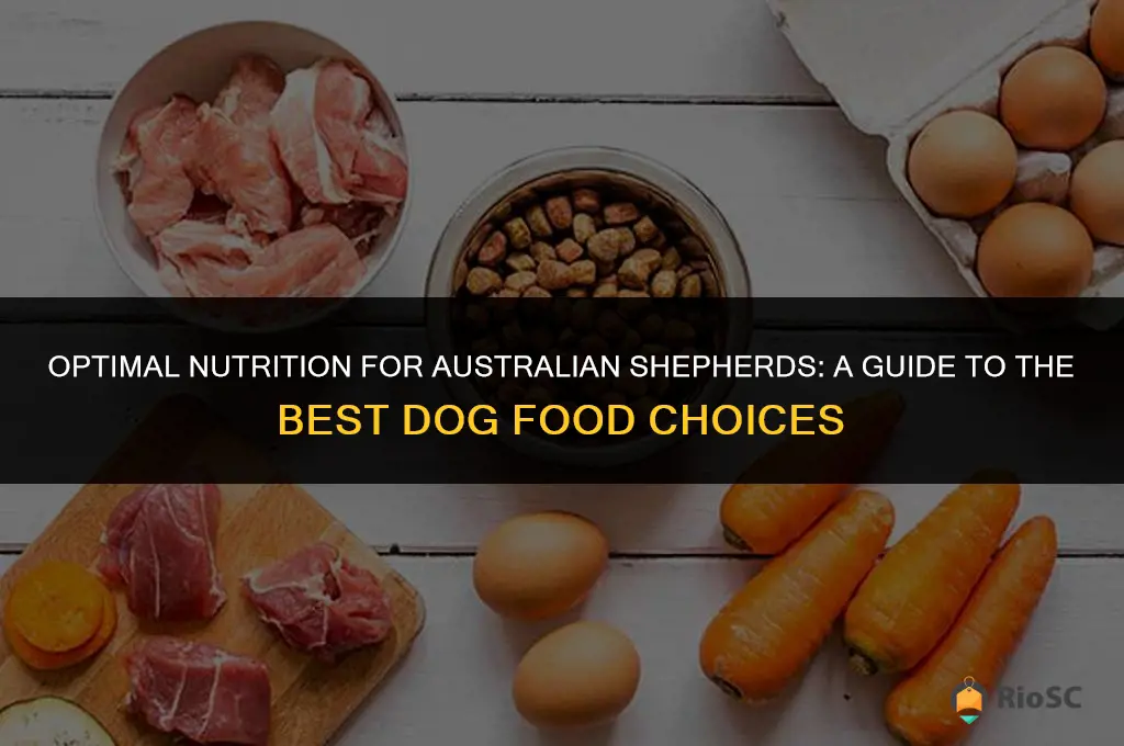 australian shepherds do best with which dog food