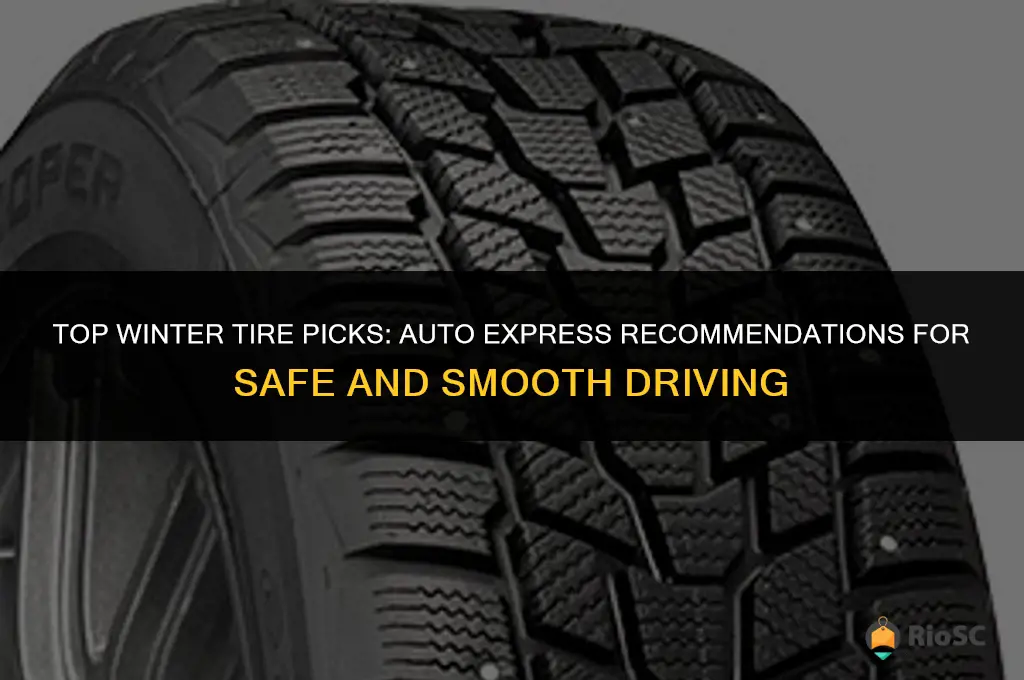 auto express best winter tires