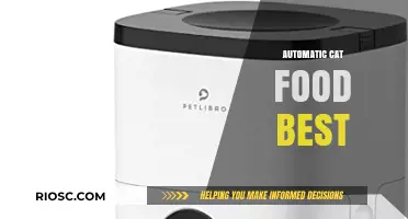 Top Picks for Automatic Cat Feeders: Ensuring Your Feline's Nutritional Needs Are Met Effortlessly