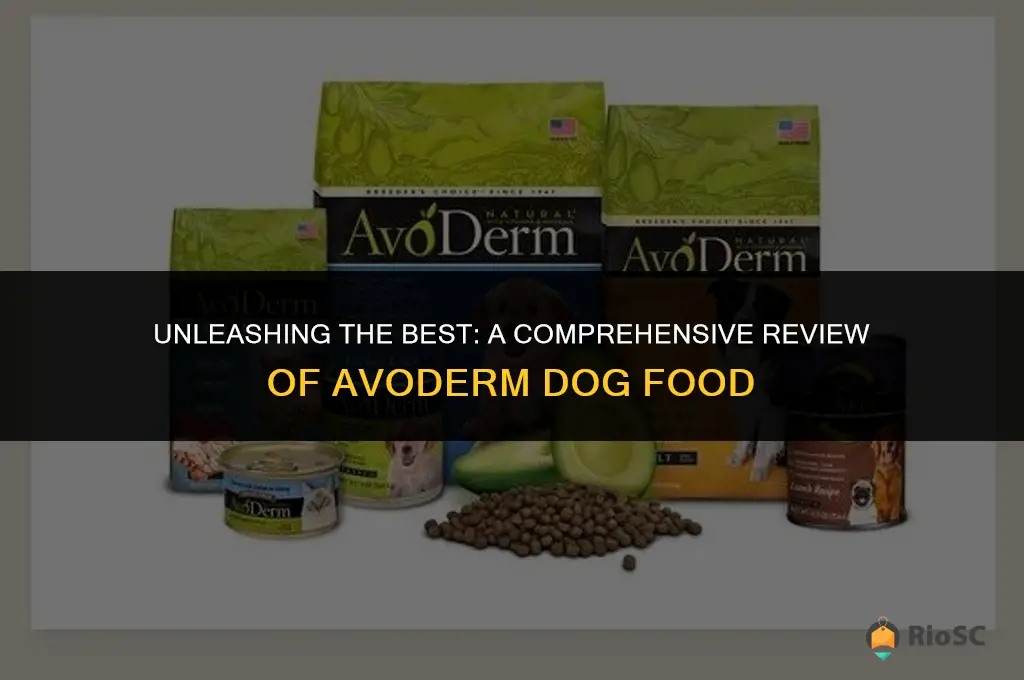 avoderm dog food best