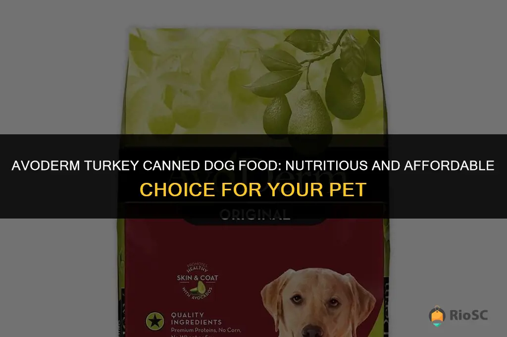 avoderm dog food turkey canned & best price