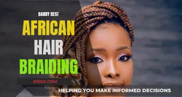 Barry's African Hair Braiding: A Masterclass in the Art of Braiding